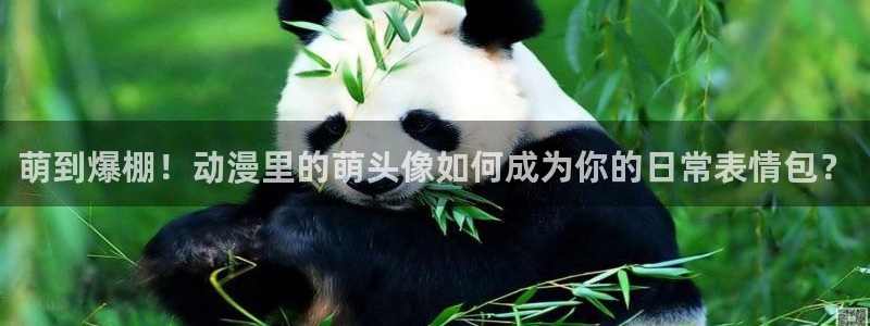 58动漫免费看：萌到爆棚！动漫里的萌头像如何成为你的日常表情包？