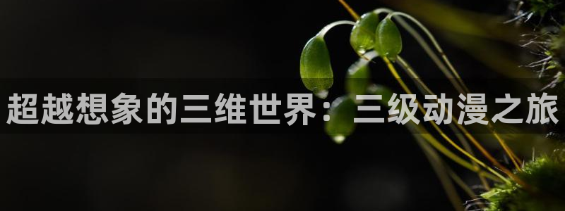 58动漫网 58动漫网：超越想象的三维世界：三级动漫之旅