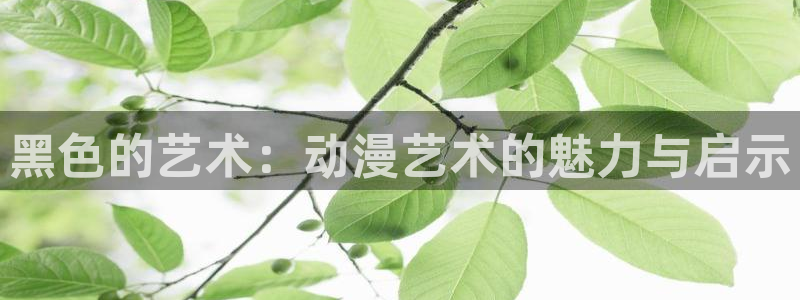 58动漫网站官网免费：黑色的艺术：动漫艺术的魅力与启示