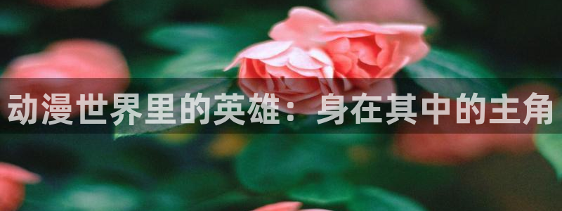 58动漫网站：动漫世界里的英雄：身在其中的主角