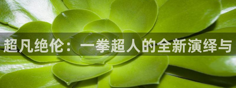 58动漫网免费：超凡绝伦：一拳超人的全新演绎与