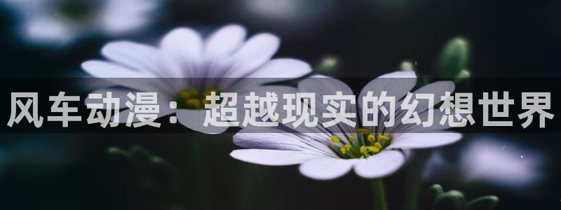 58动漫网 免费：风车动漫：超越现实的幻想世界