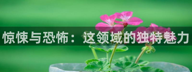 58动漫网站入口免费阅读漫画特点：惊悚与恐怖：这领域的独特魅力