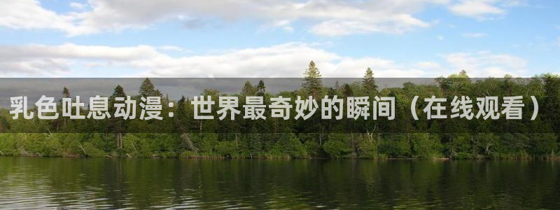 58动漫免费看：乳色吐息动漫：世界最奇妙的瞬间（在线观看）